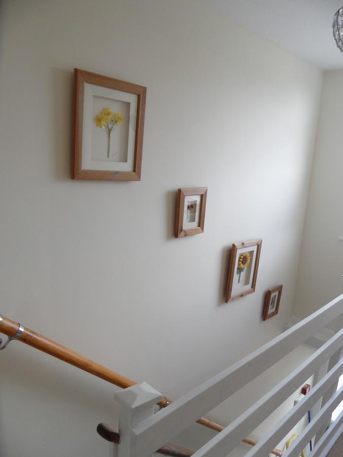 Monterey Pines Bed & Breakfast Helston Eksteriør bilde